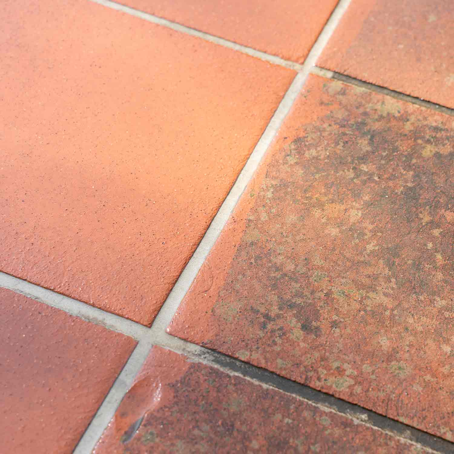 Natürlicher Außenflächen-Reiniger