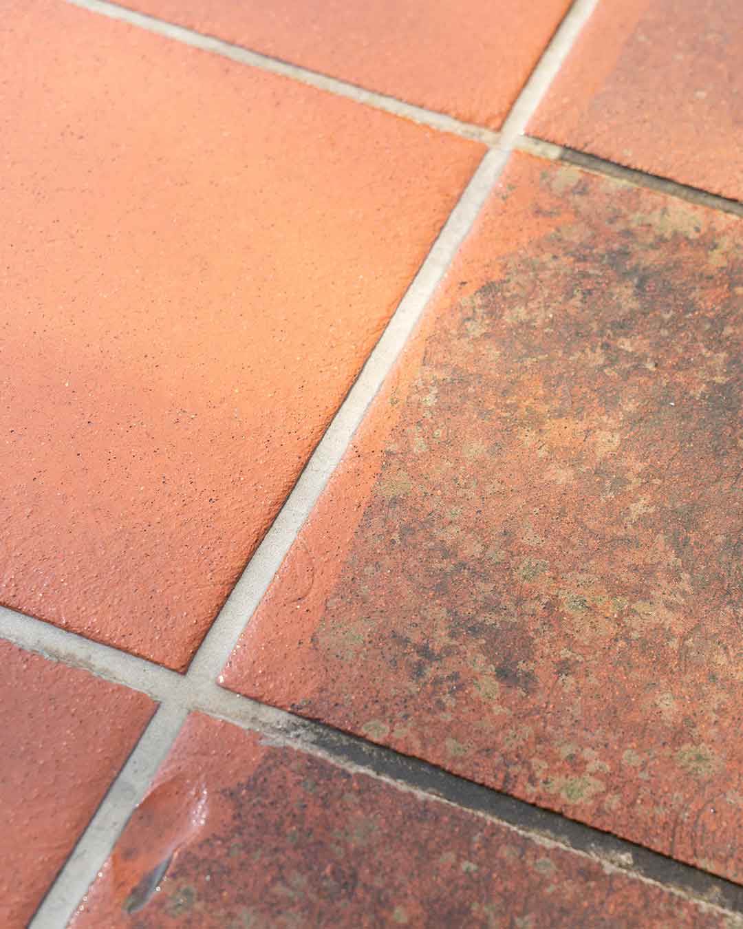 Natürlicher Außenflächen-Reiniger